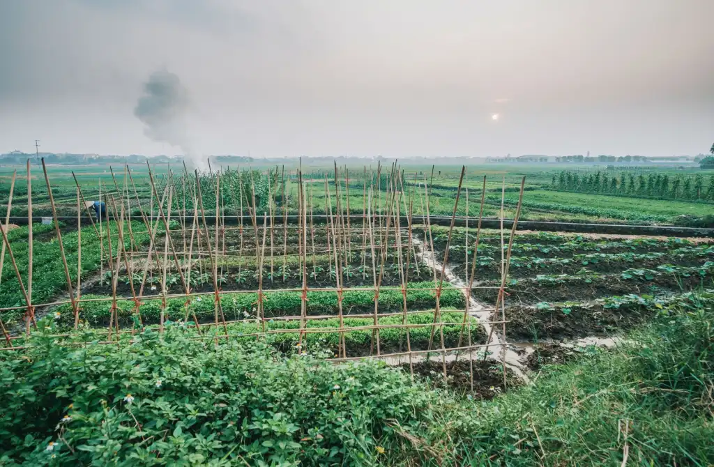 2025年生物科技护肤品研发趋势与功效成分应用分析
