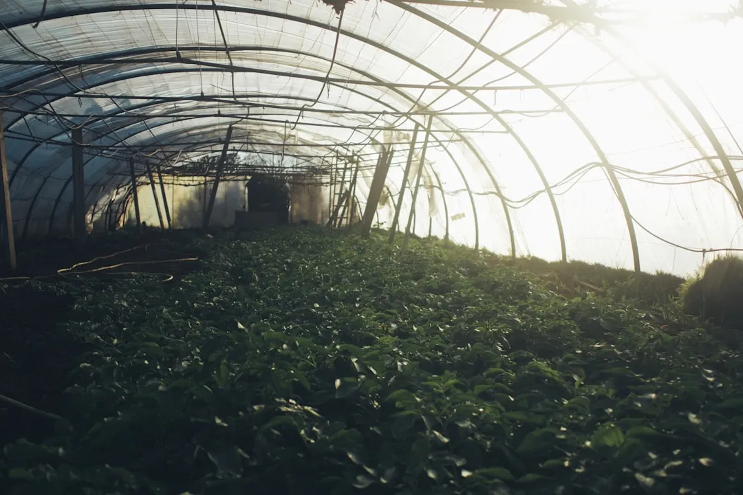 福州莱医美生物科技功效性护肤品核心成分与作用机理解析